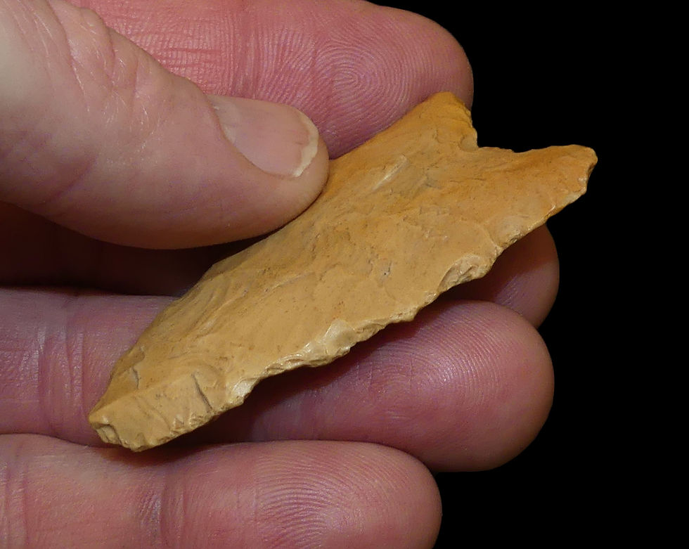 Thumbnail: Dalton Jefferson Co Missouri Creek Stained Chert EB