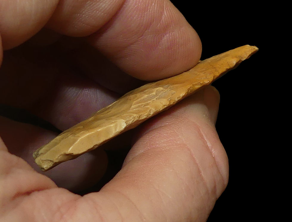Thumbnail: Dalton Jefferson Co Missouri Creek Stained Chert EB