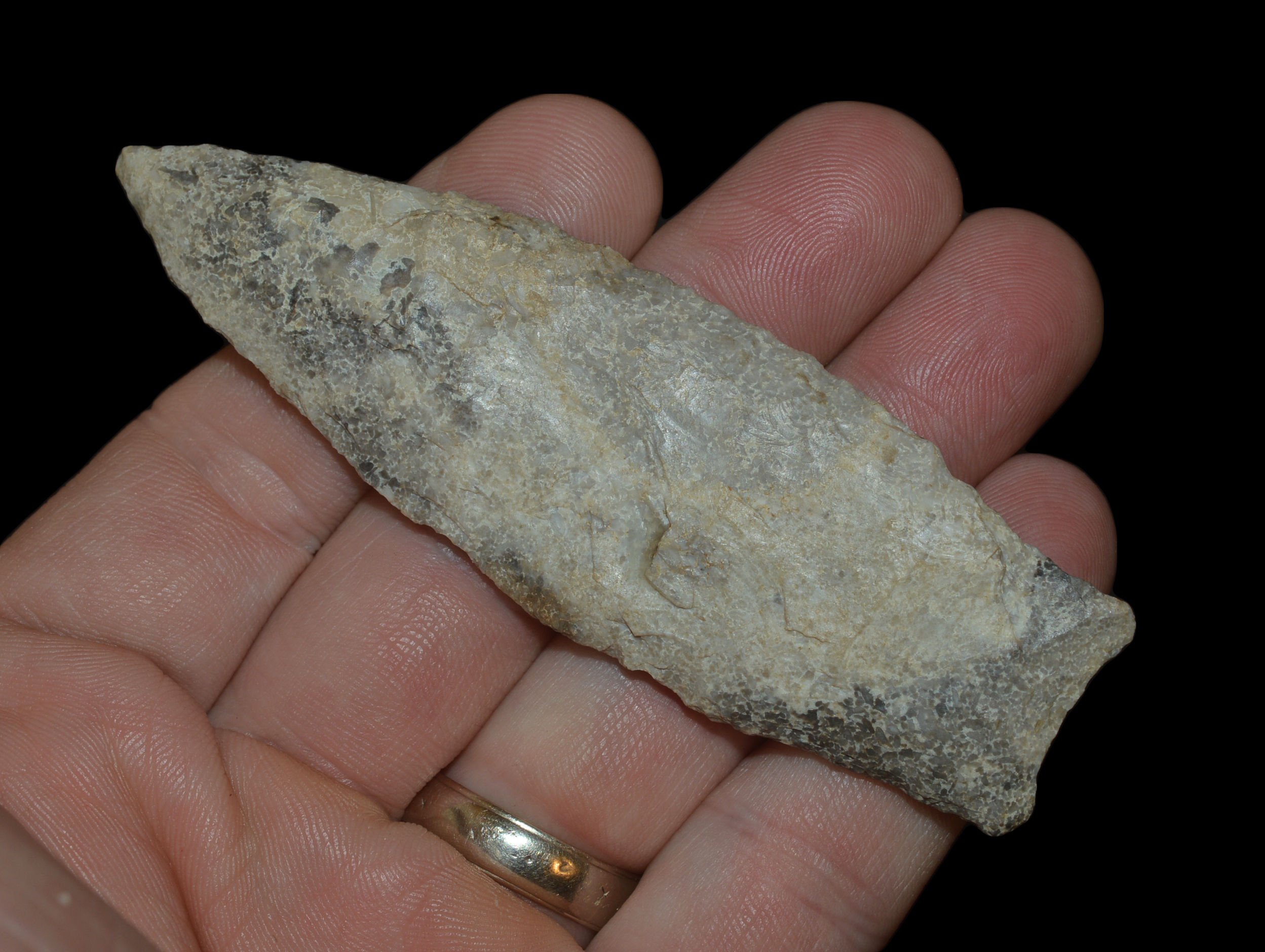 Archaic Lanceolate Saline Co Missouri Rogers COA EB