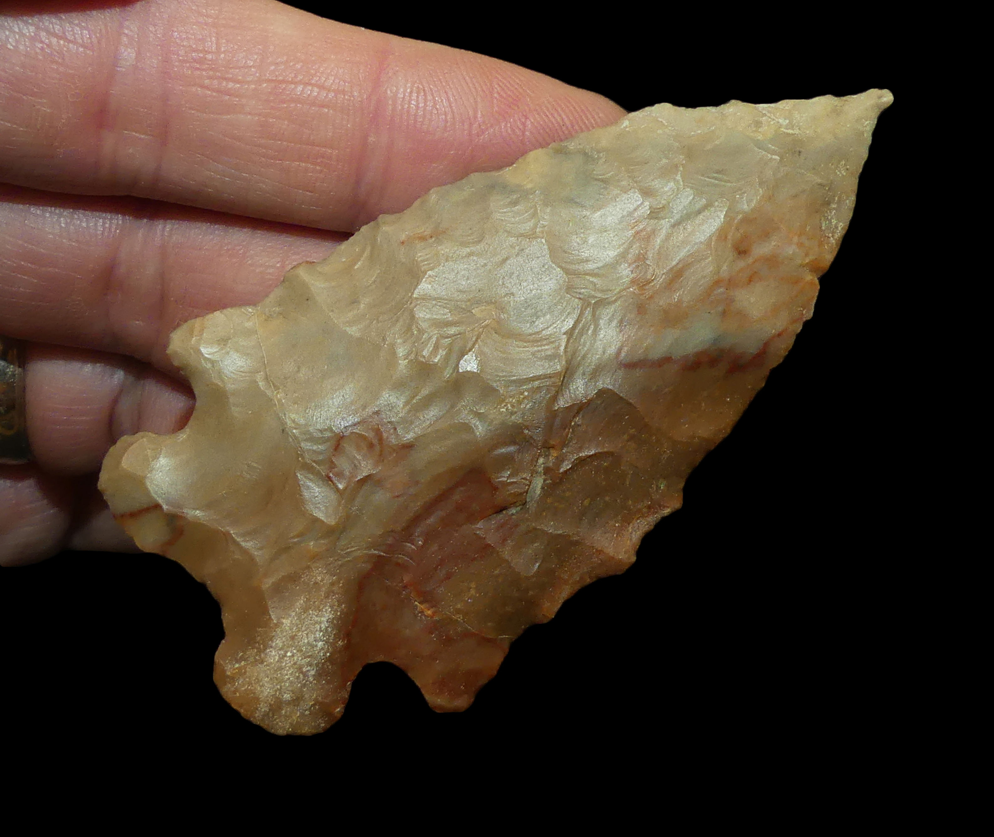 MacCorkle Sumner Co Tennessee Motley COA EB