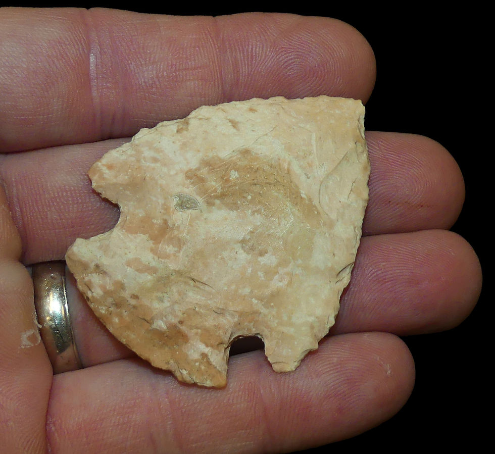 Thumbnail: Snyder Callaway Co Missouri EB
