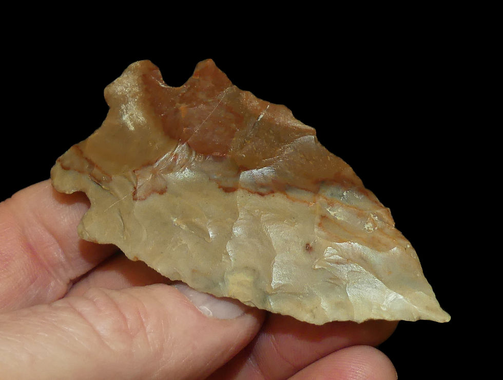 Thumbnail: MacCorkle Sumner Co Tennessee Motley COA EB