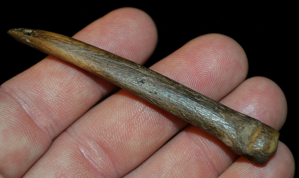 Bone Awl