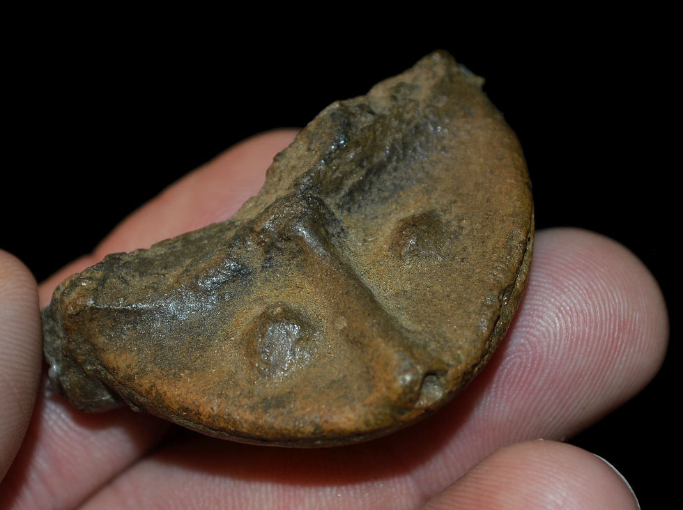 Pottery Turtle Effigy