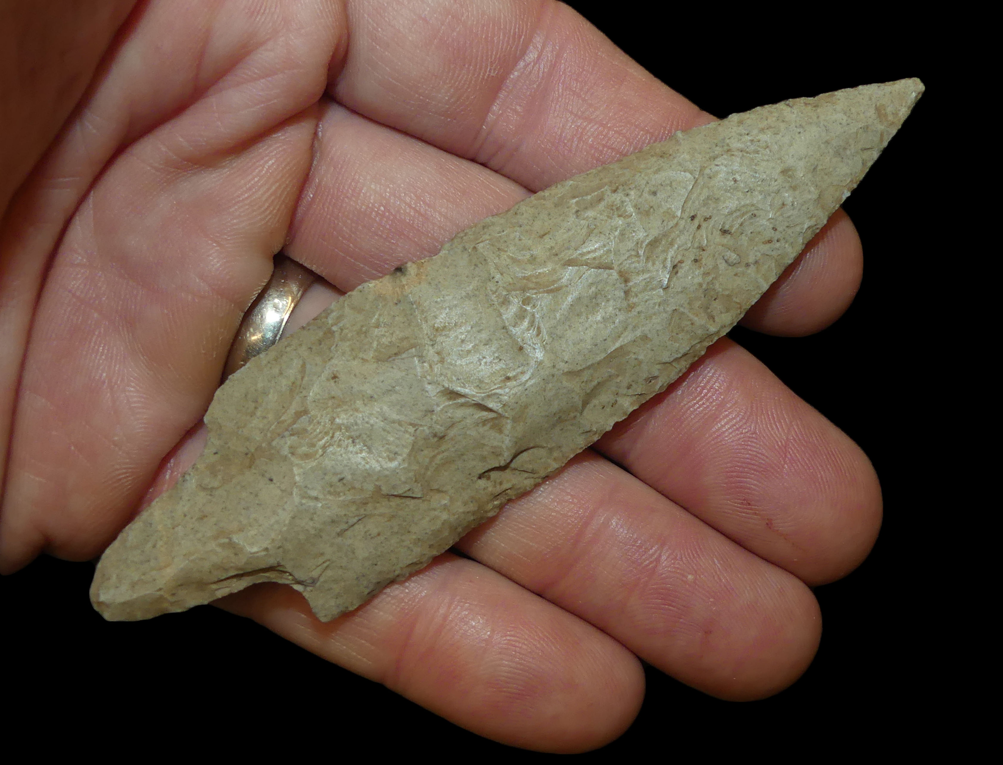 Table Rock Pointed Stem Mayes Co Oklahoma Partain COA EB