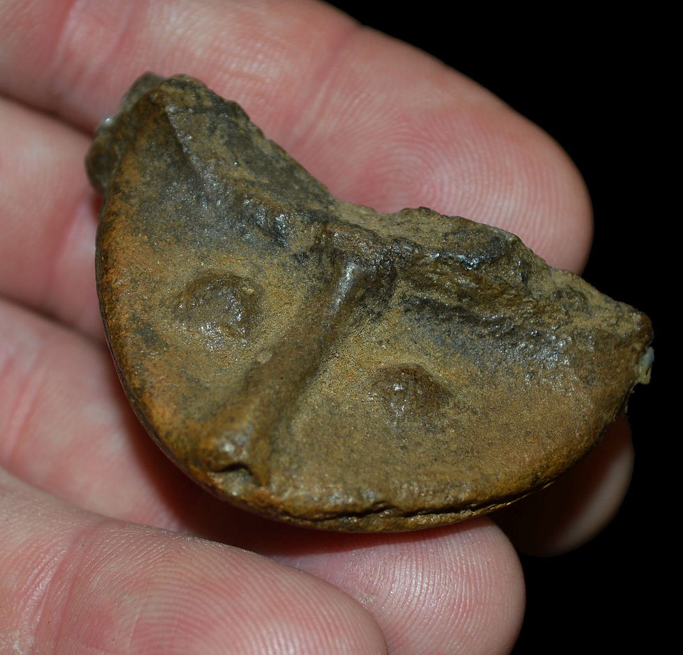Pottery Turtle Effigy