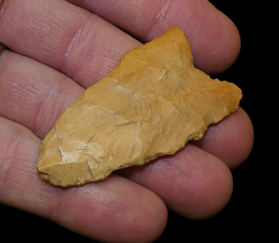 Thumbnail: Dalton Jefferson Co Missouri Creek Stained Chert EB
