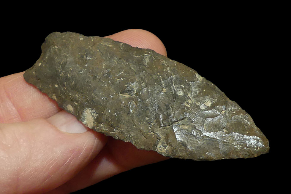 Thumbnail: Angostura Central Texas EB