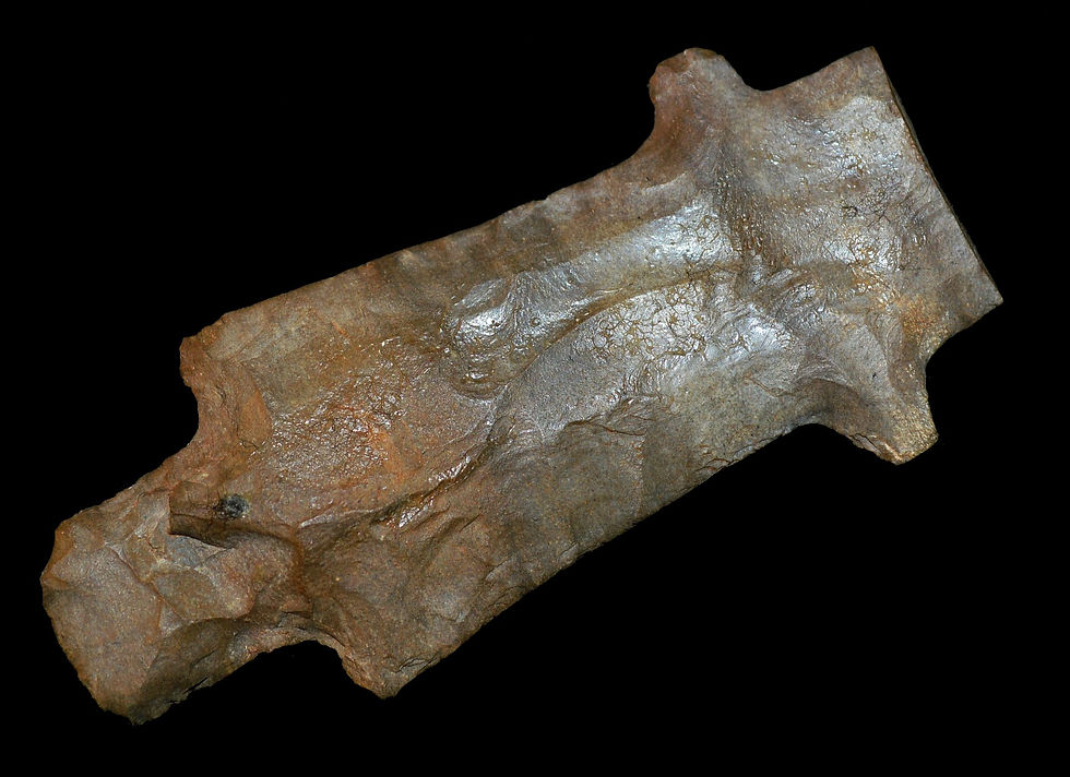 Etley Eccentric Form