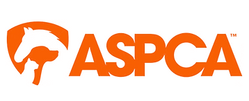 Screenshot 2025-11-18 at 6.28.13 pm.png