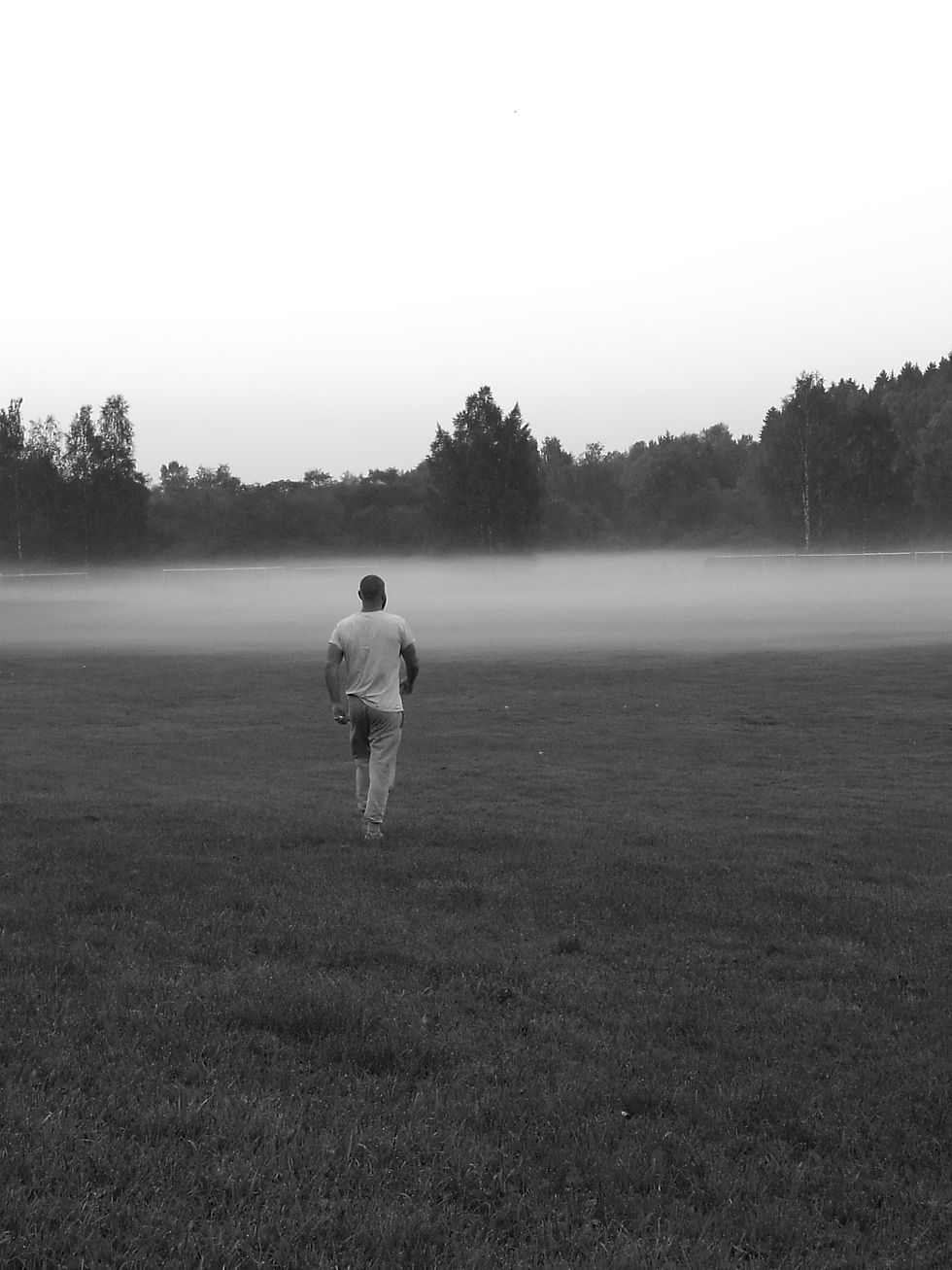 Into the Mist