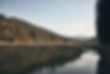 Forest River View