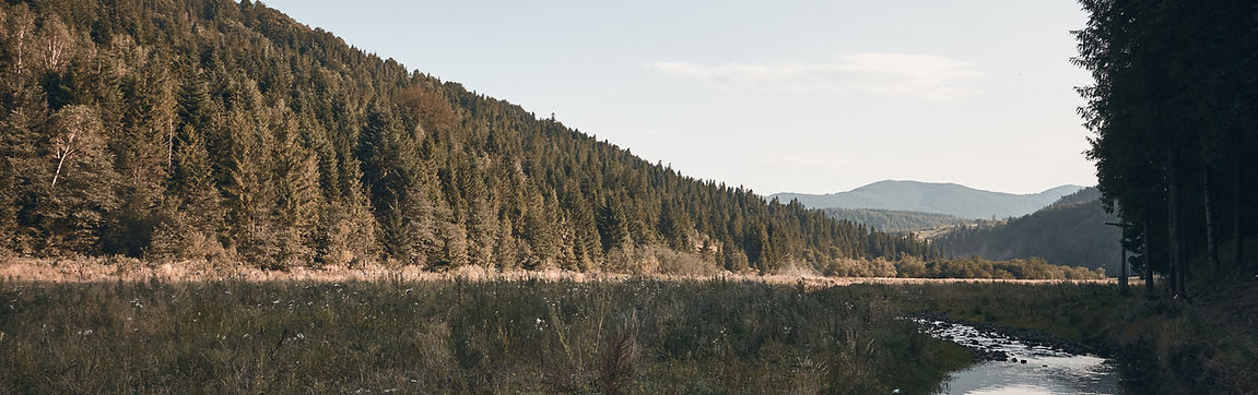 Mountainous Landscape