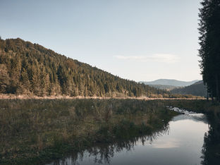 [ESG 이슈페이퍼] ESG, 자연을 기반으로 한 패러다임의 전환