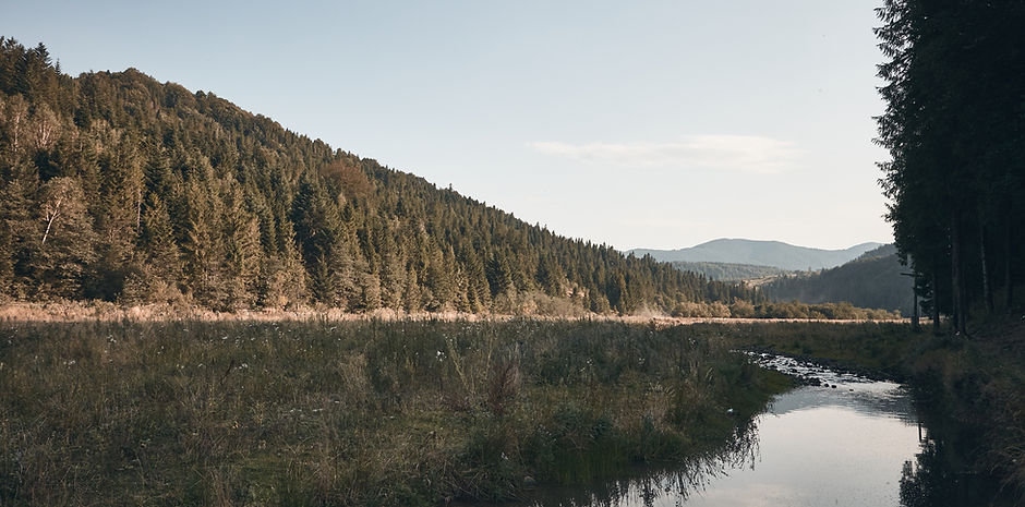 Mountainous Landscape