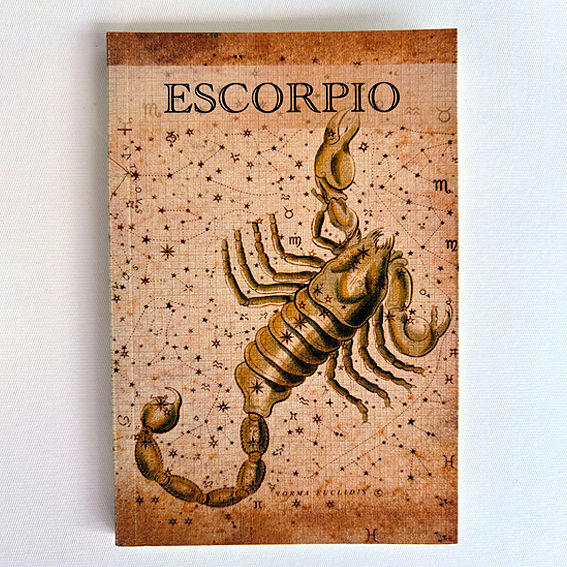 ESCORPIO - Los signos zodiacales