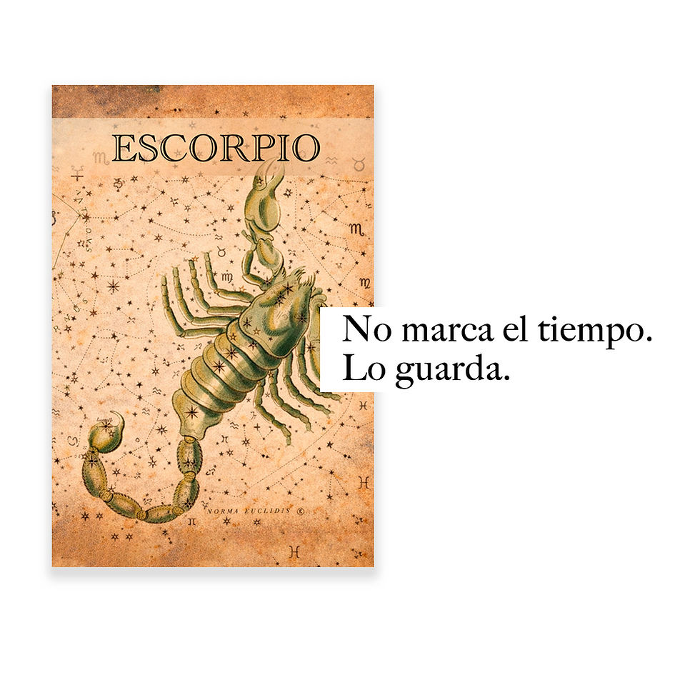 https://www.chile-cabron.com/product-page/escorpio-los-signos-zodiacales