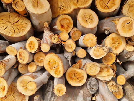 What Holotropic Breathwork Means to Me