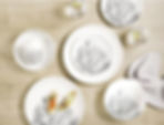 Maxwell Williams Impression Coupe 16 Piece Dinner Set