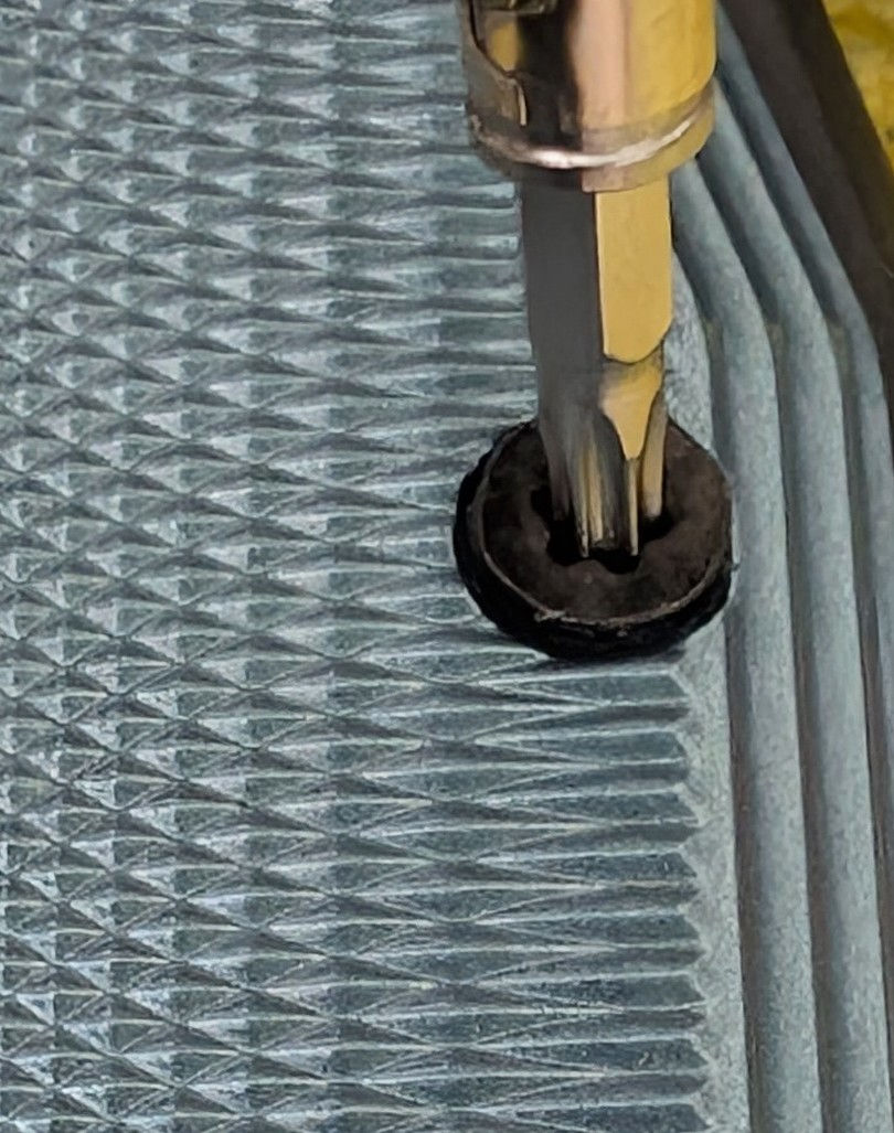 ASG CZ Shadow 2 loosen the Torx screws