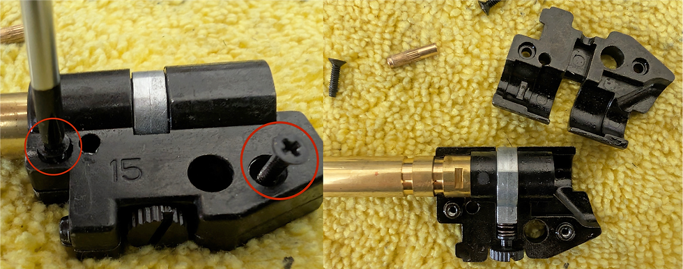 ASG CZ Shadow 2 Remove the two Phillips screws from the hop-up chamber