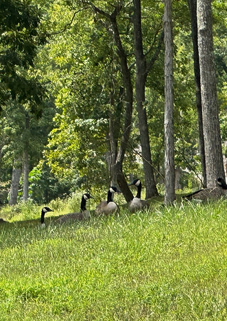 IMG_6457_edited.jpg