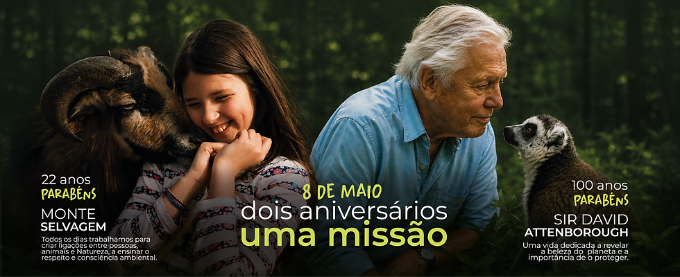 Sem título-11.png