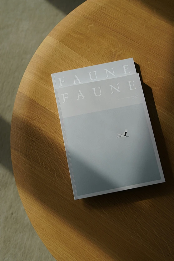 Minimalistisches Produktdesign – Beispiel eines Apple-Produkts mit reduziertem Design.