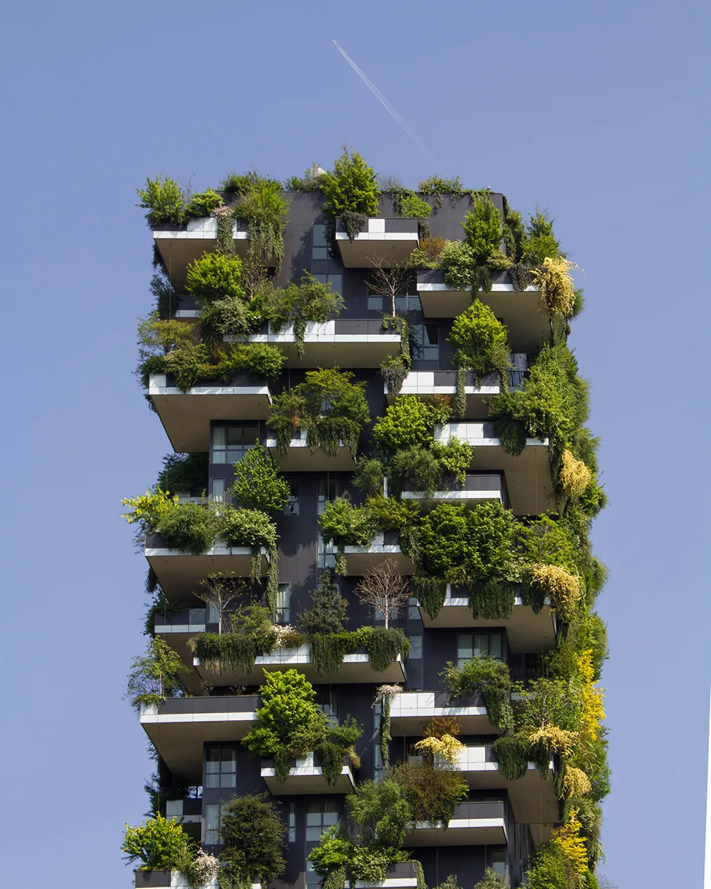 Urbane Gärten als Teil nachhaltiger Stadtplanung zur Verbesserung der Luftqualität und Förderung der Biodiversität.
