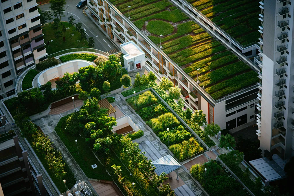 Urbane Gärten als Teil nachhaltiger Stadtplanung zur Verbesserung der Luftqualität und Förderung der Biodiversität.