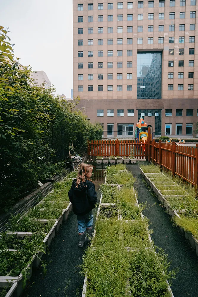 Urbane Gärten in städtischen Gebieten fördern die Nachhaltigkeit und schaffen Erholungsräume für die Bewohner.