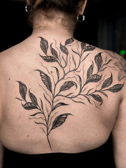 fine-line botanical vine