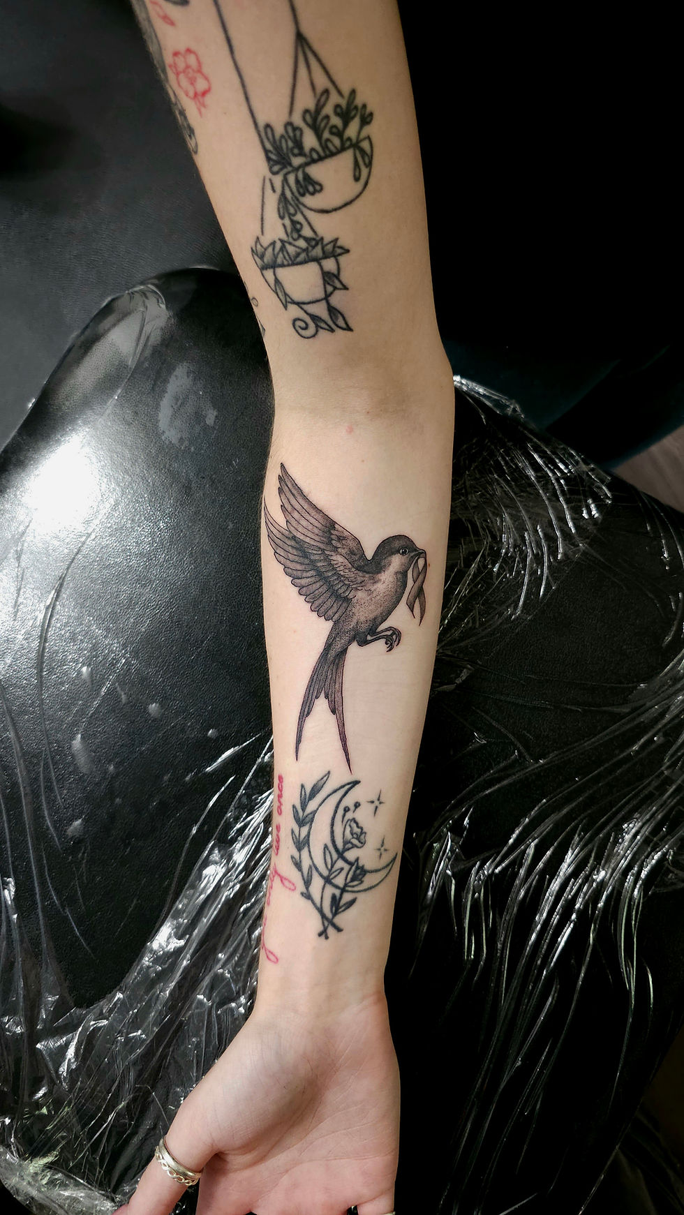 c2f719fb-fabe-45f9-801a-3d7b17588a3d-1_all_348