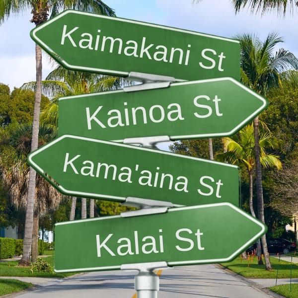 Hawaiian street signs