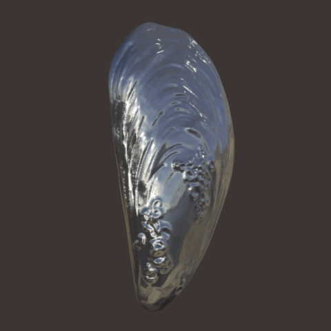 My project (1) 9.gif