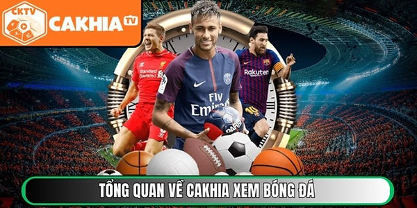 resized-image (1).jpg