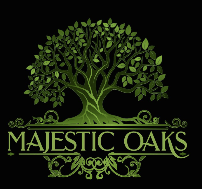 logo.png