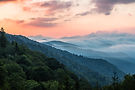 AdobeStock_121579633.jpeg