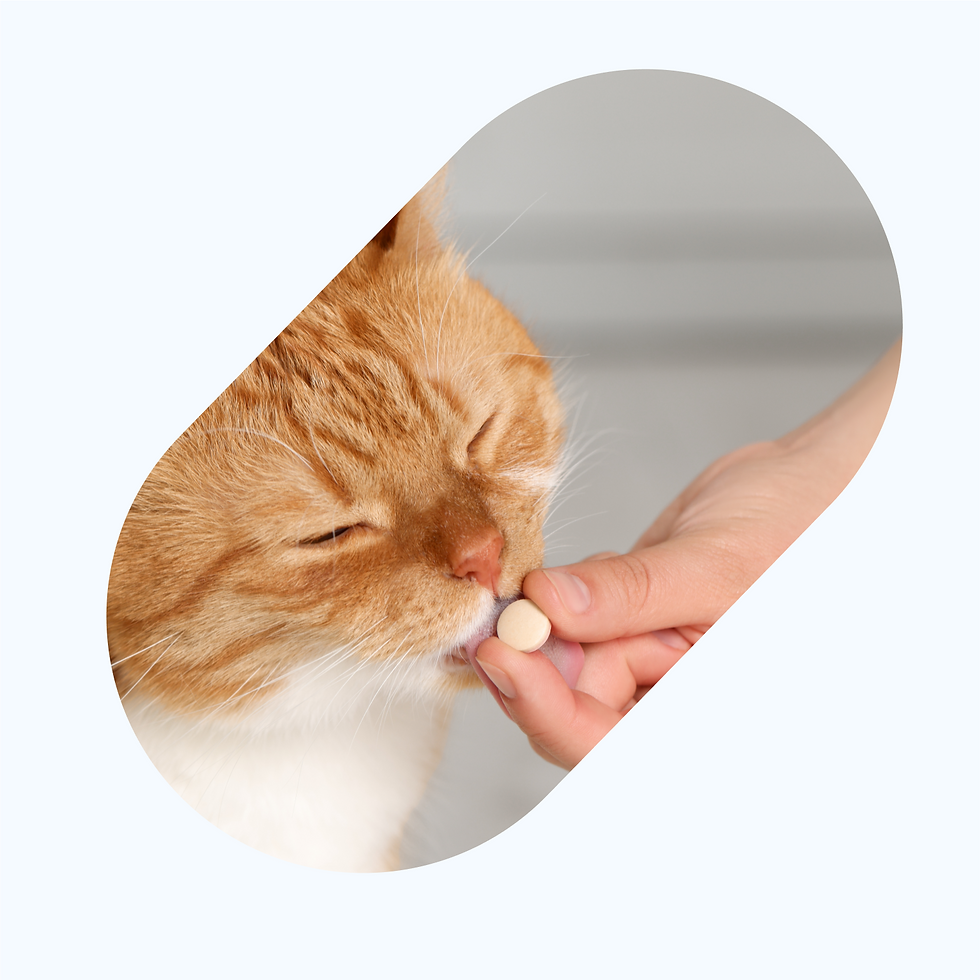 pet-supplements.png