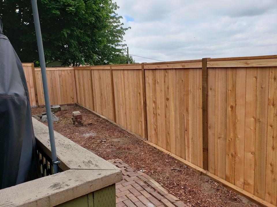 A green lawn bordered by a wooden fence, showcasing a well-maintained outdoor space.