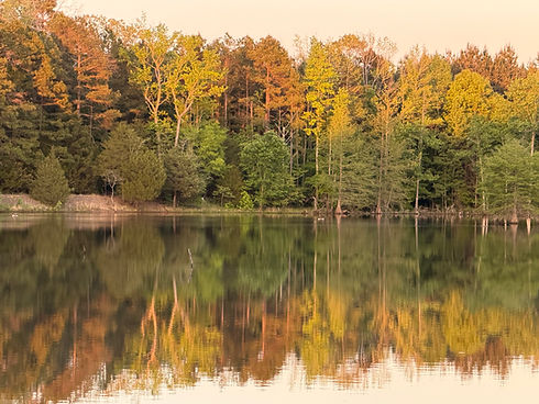 Lake.jpeg