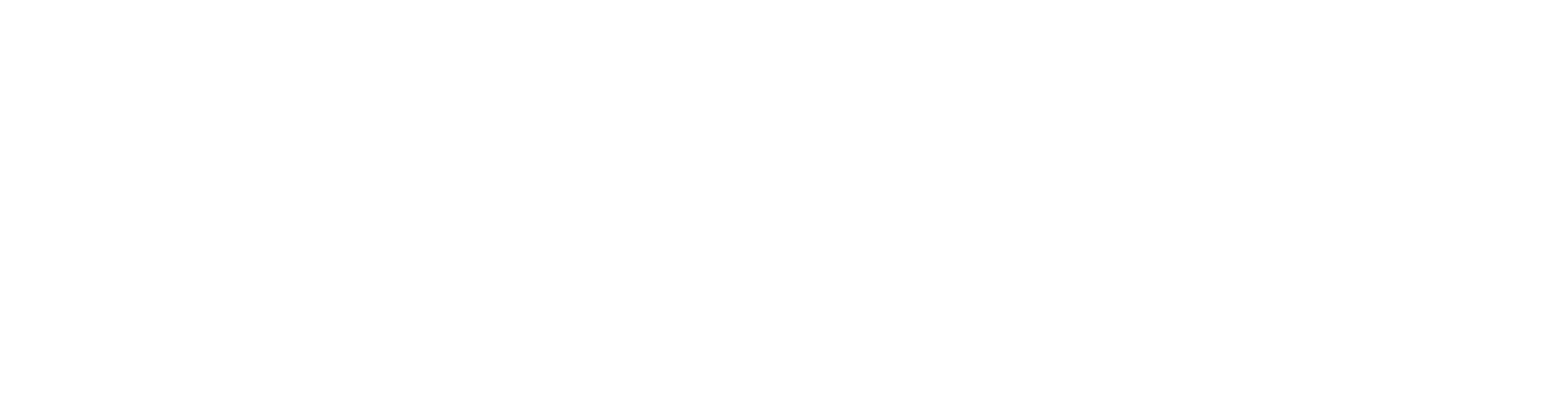 White logo - no background.png