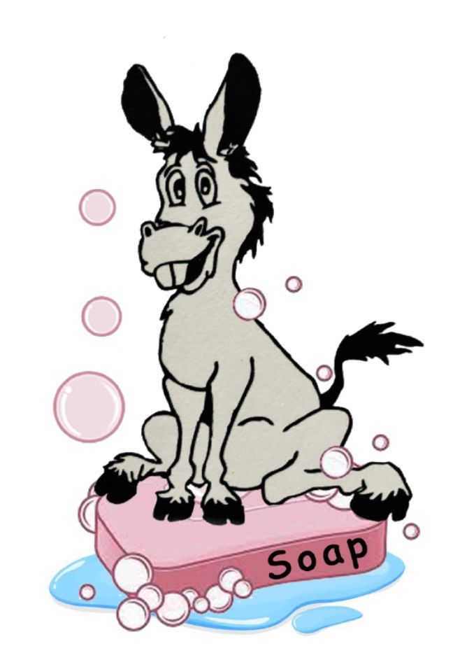 BURRO_SOAP.jpeg