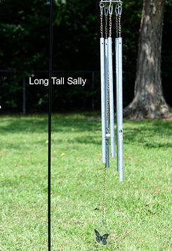 A_Long_Tall_Sally.jpg