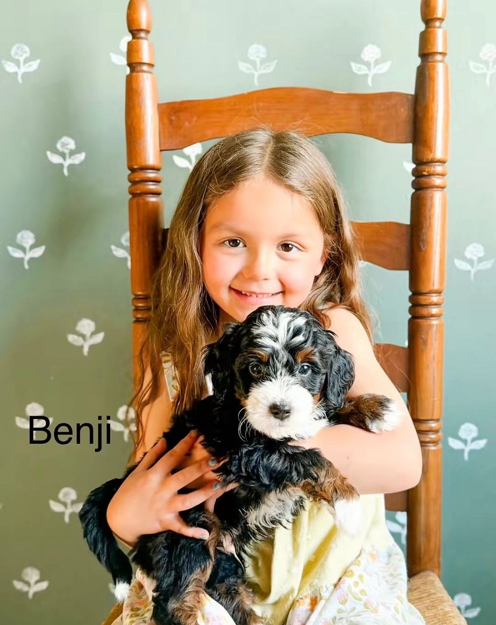 Thumbnail: Mini Bernedoodle Puppy
