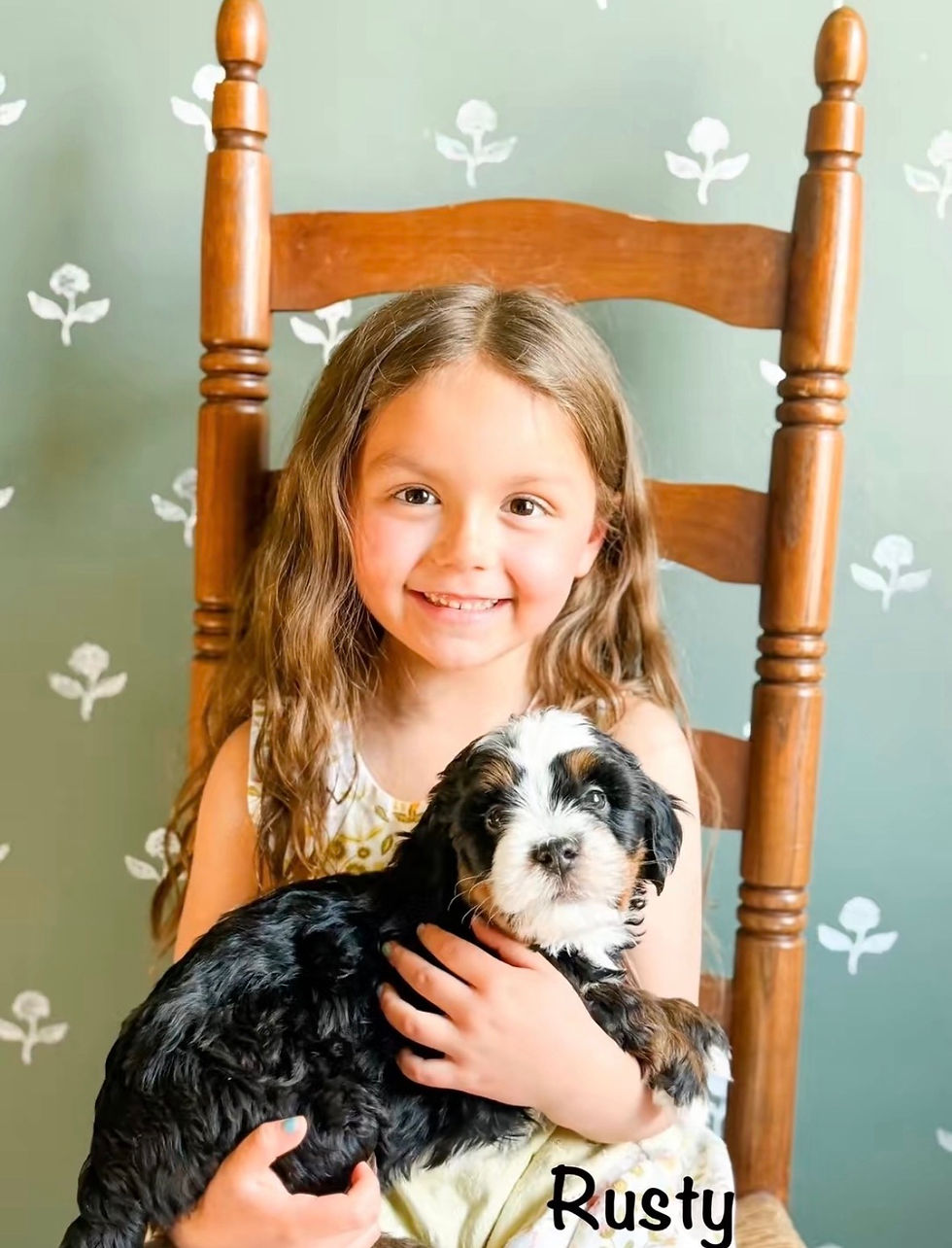 Thumbnail: Mini Bernedoodle Puppy