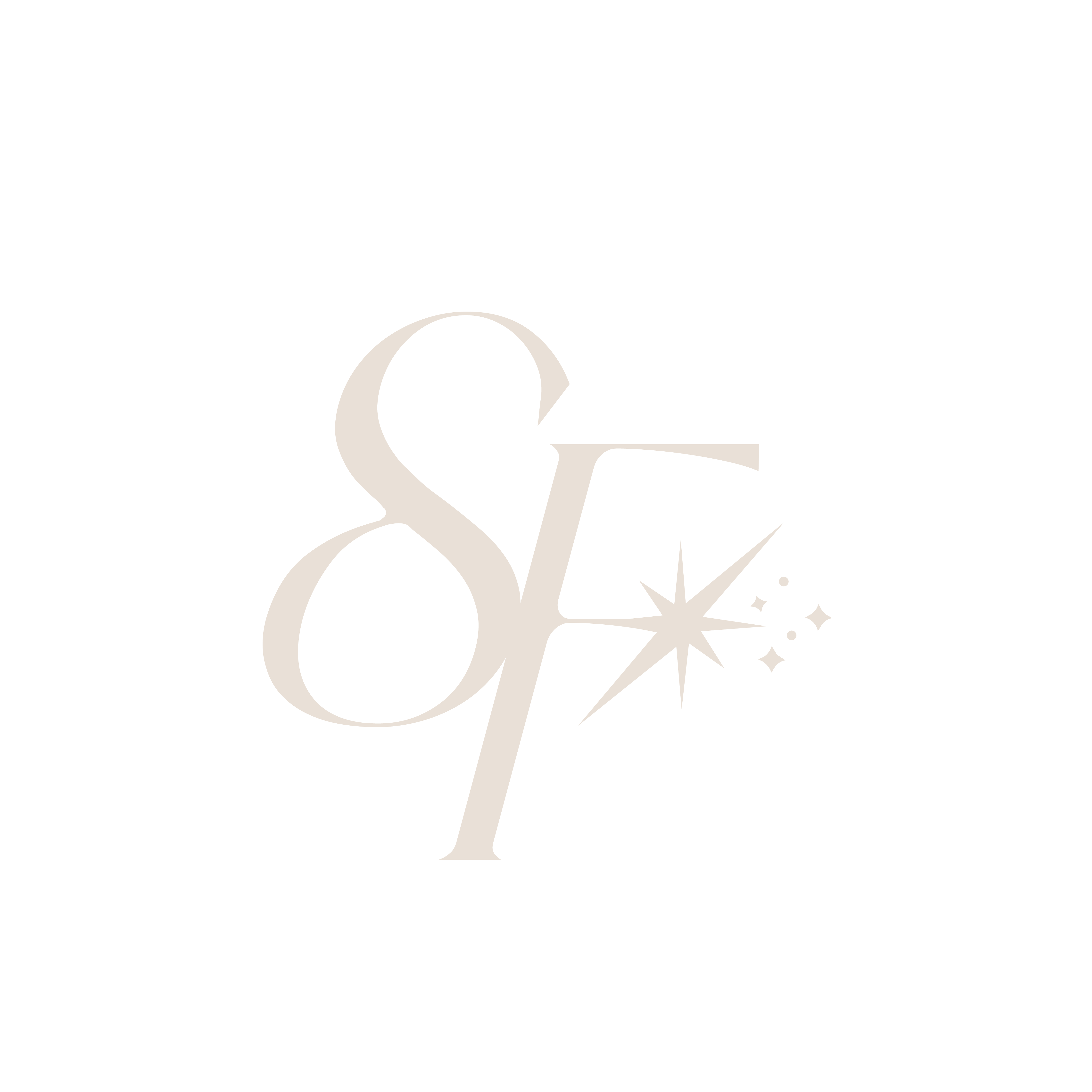 SkinFuelLogo_Mesa de trabajo 1 copia 20.