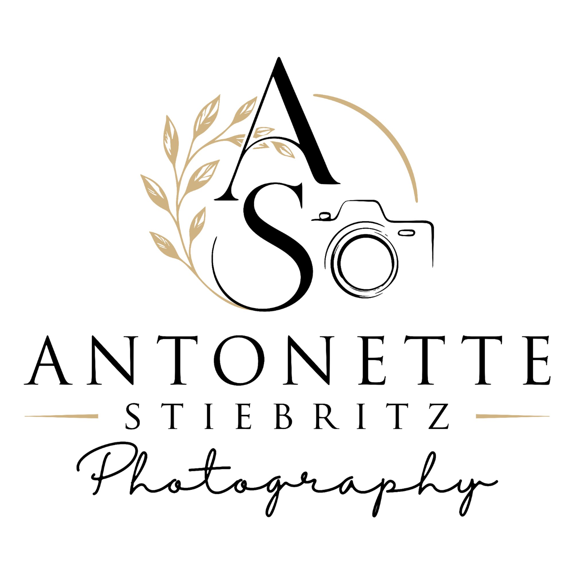 Elegant logo for Antonette Stiebritz Photography featuring a camera and botanical elements.