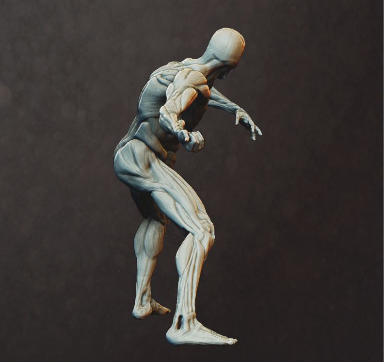 human study (8).JPG
