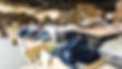 Retail-returns-header.jpg